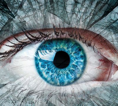 agenda zie ruik hoor